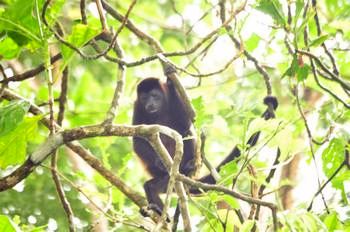 Die Tierwelt war phantastisch und Ahtemberaubend.